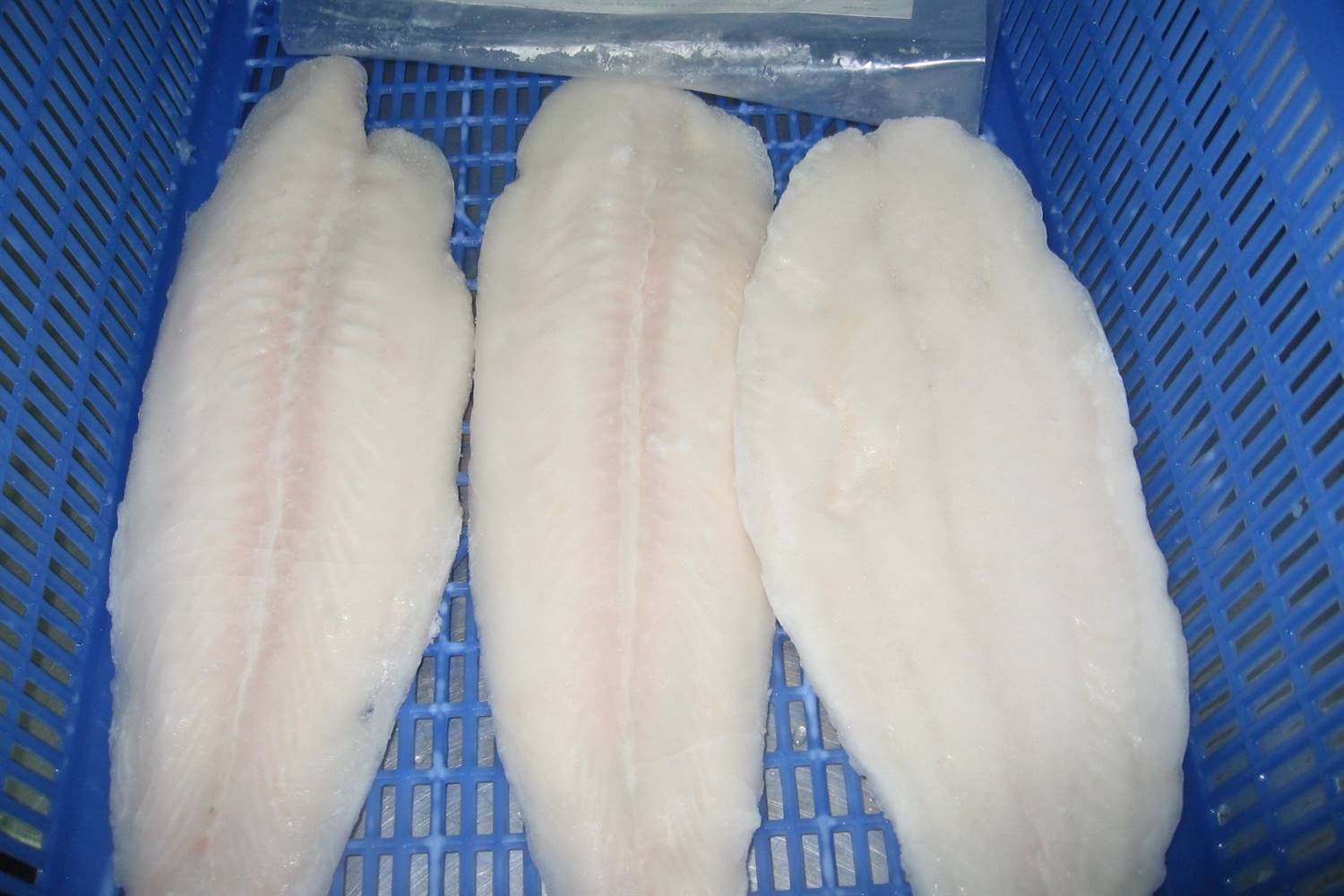 FROZEN PANGASIUS FILLET, WELL-TRIMMED - Image 2