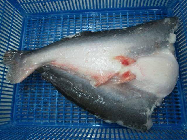 FROZEN PANGASIUS BUTTERFLY , HEADLESS - Image 2