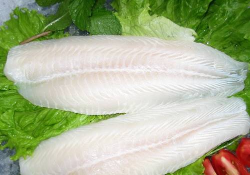 FROZEN PANGASIUS FILLET, WELL-TRIMMED