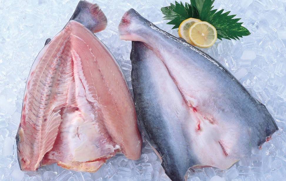 FROZEN PANGASIUS BUTTERFLY , HEADLESS