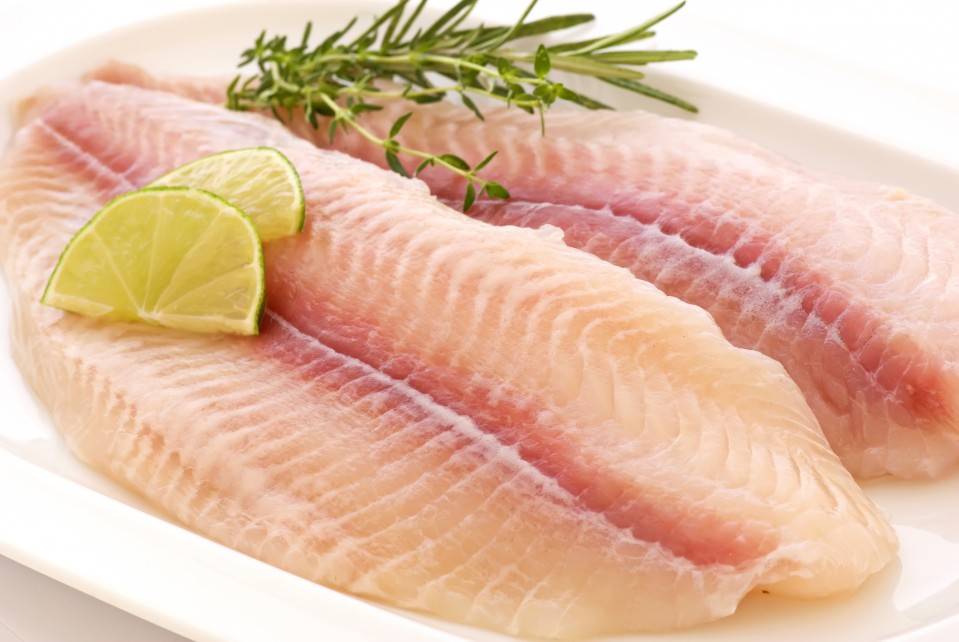 FROZEN PANGASIUS FILLET, UNTRIMMED