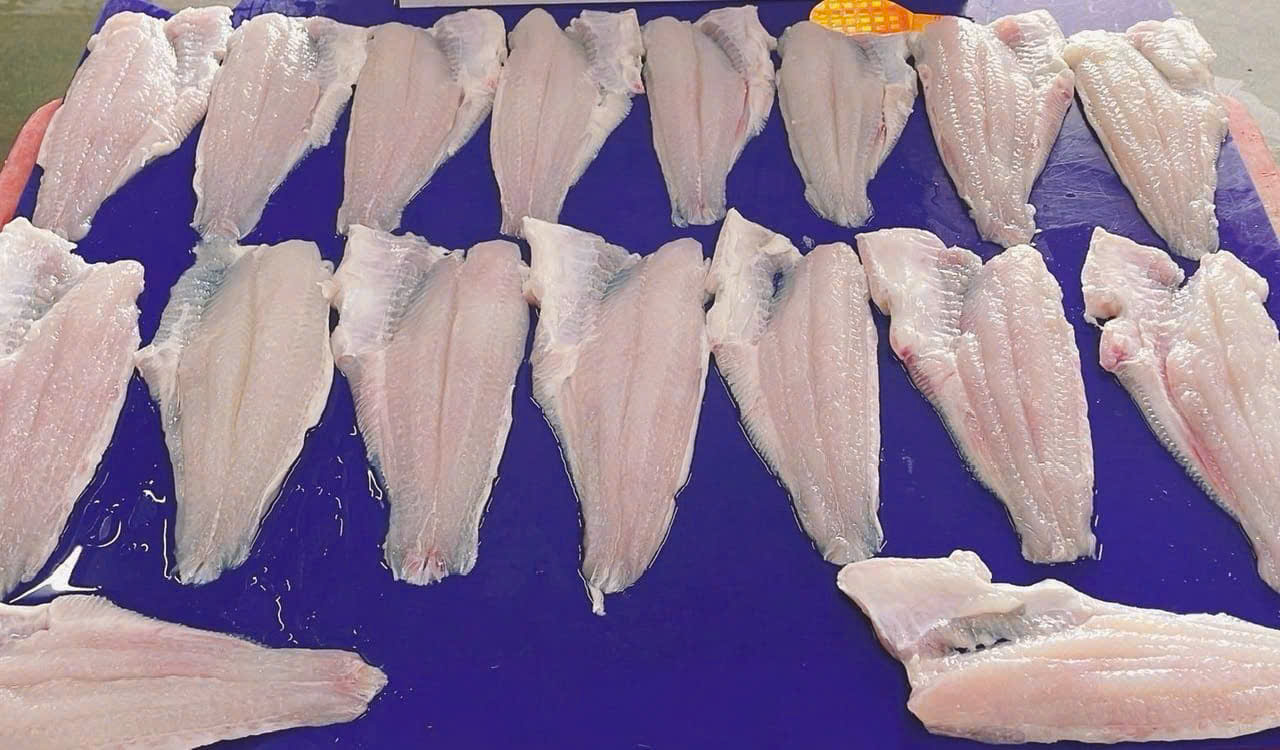 FROZEN PANGASIUS FILLET, UNTRIMMED - Image 5