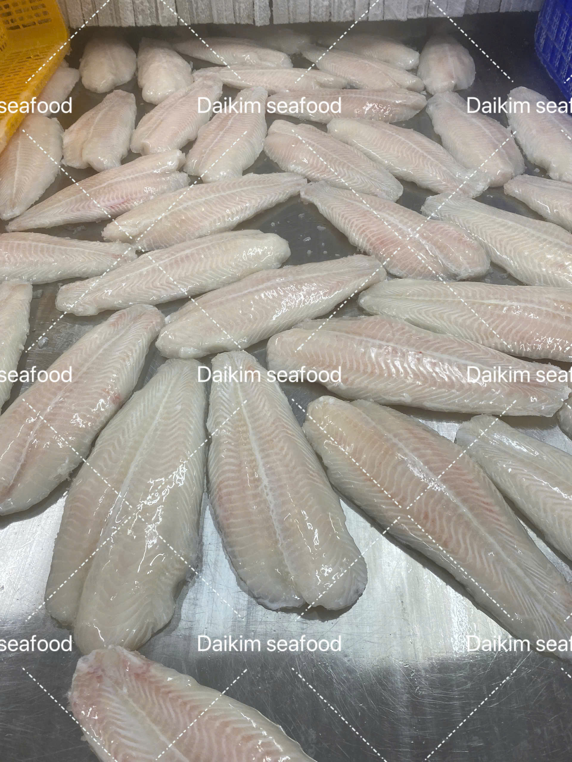 FROZEN PANGASIUS FILLET, WELL-TRIMMED - Image 5