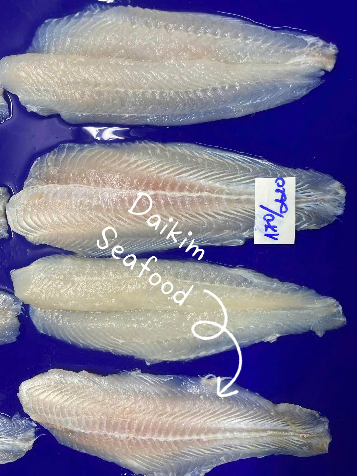 FROZEN PANGASIUS FILLET, WELL-TRIMMED - Image 6