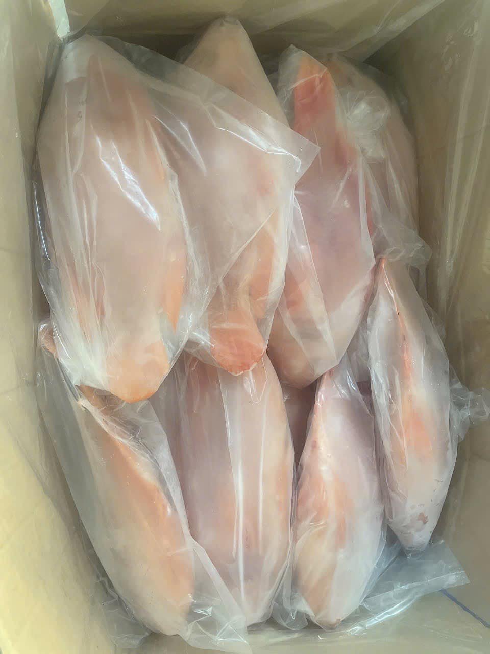 FROZEN RED TILAPIA WHOLE ROUND - Image 2