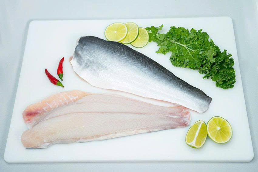FROZEN PANGASIUS FILLET, SKIN ON