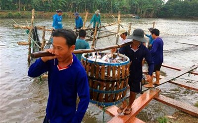 Vietnam to develop promising markets as it surpasses $8bn target in 2017