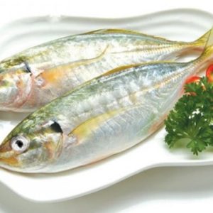 INDIA MACKEREL