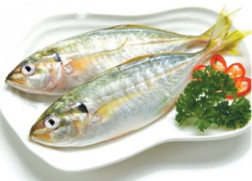 INDIA MACKEREL