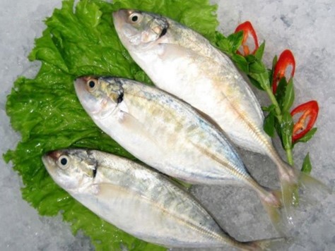 INDIA MACKEREL - Image 2