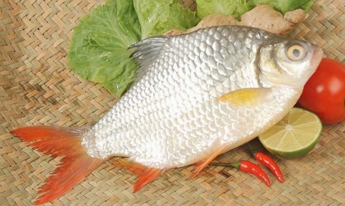FROZEN SLIVER BARB FISH