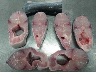 PANGASIUS STEAK - Image 2