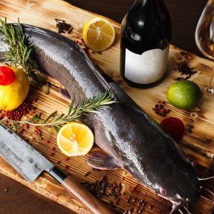 FROZEN CATFISH (Magur)