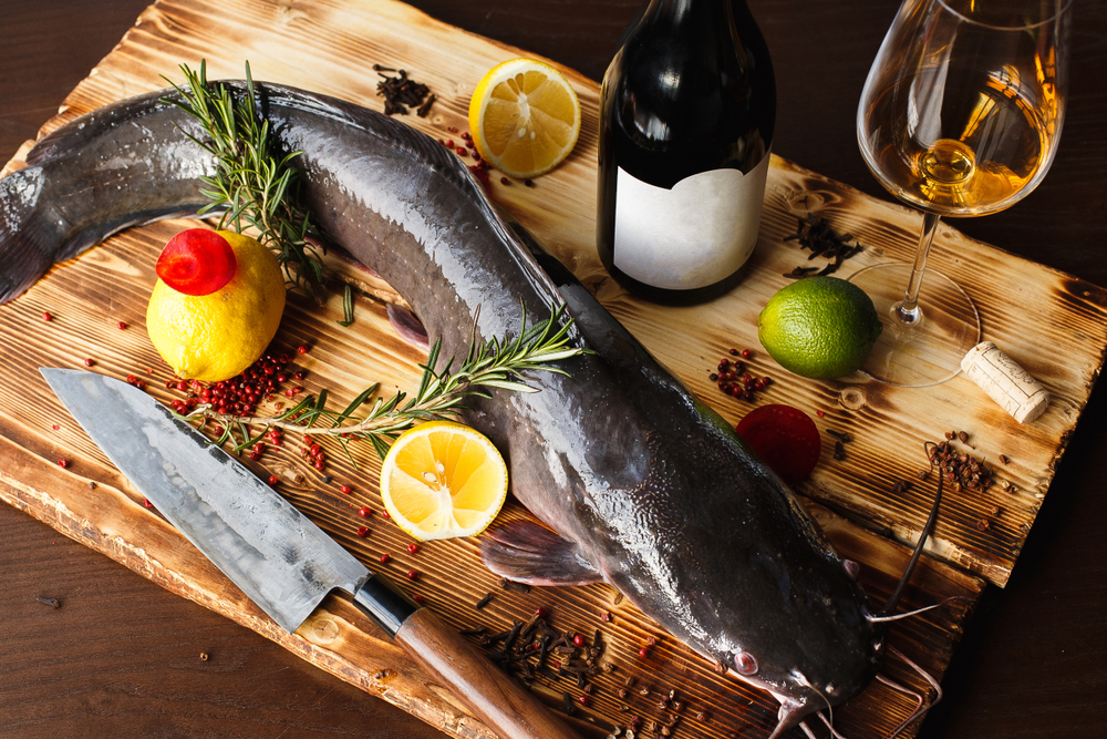FROZEN CATFISH (Magur)